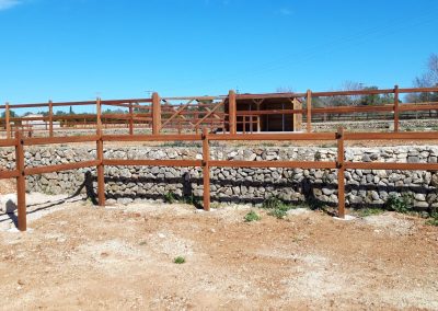 VALLADO TEJANO MADERA TROPICAL 03-2022 12